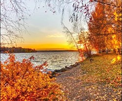 Вебинар «Здоровая осень с Аюрведой» - фото 10264