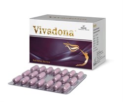 Vivadona (Вивадона) - восстанавливает силу и выносливость, уменьшает тревожность и стресс, улучшает настроение, снимает усталость и успокаивает 5005 - фото 10324