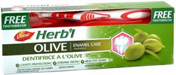 Зубная паста Dabur Herb’l  Olive (с экстрактом оливы), 150 г. + зубная щётка - фото 10896