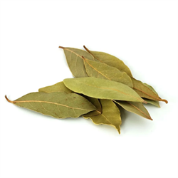 Лавровый лист (Bay Leaf), 10 г. - фото 11609