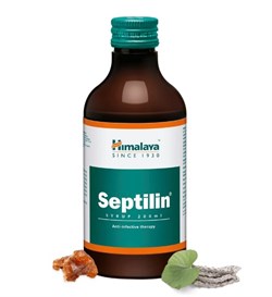 Septilin Syrop (Септилин Сироп) - антиинфекционное фитосредство, аюрведа от аллергии 3832 - фото 11790