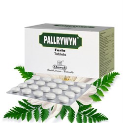 Pallrywyn forte (Паллривин форте) - для потенции и увеличения сексуального желания 3969 - фото 13089