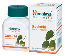 Guduchi (Гудучи) - эффективный иммуно-стимулятор и кровеочиститель - фото 6795