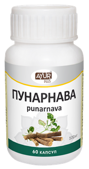 Пунарнава - тоник для почек и мочеполовой системы 3123 - фото 6957
