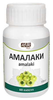 Амалаки - самый знаменитый фрукт в Индии, мощный растительный антиоксидант, иммуномодулятор 3124 - фото 6958