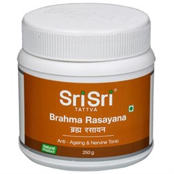 Brahma Rasayana (Брахма Расаяна) - аюрведический тоник для мозга - фото 8346