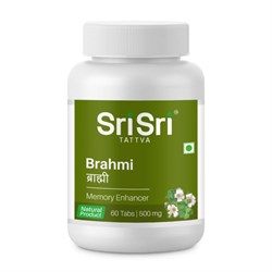 Brahmi (Брами) - крепкая память и нервная система, сбалансированная работа полушарий мозга 4131 - фото 8988