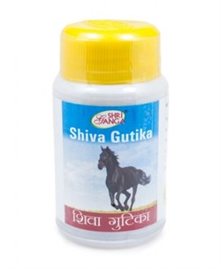 Shiva Gutika (Шива Гутика)  - омоложение и очищение организма 4182 - фото 9095