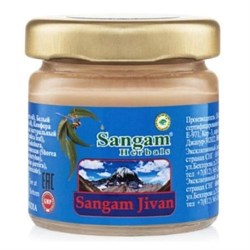 Sangam Jivan (Бальзам Сангам Дживан) - фото 9840