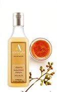 Shampoo Soft and Silky Hair (Шампунь  мягкие и шелковистые волосы) - без сульфатов и с маслом облепихи 5266