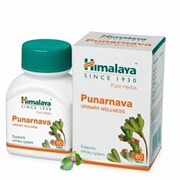 Punarnava (Пунарнава) - омолаживает весь организм, эффективно поддержит функцию почек 1732