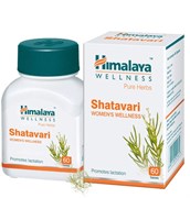 Shatavari (Шатавари) - основное омолаживающее растение для женщин