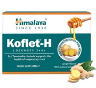 Koflet-H (Кофлет) - леденцы от кашля и боли в горле, с имбирём 3759