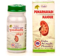 Punarnavadi Mandur (Пунарнавади Мандур) - идеальное сочетание трав для здоровья почек, 40 таб. 5934