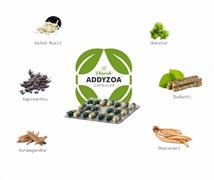 Addyzoa (Аддизоа) - от простатита и мужского бесплодия 3991