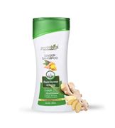 Шампунь "Ginger" - экстракты имбиря и кактуса для защиты от сухости и повреждений волос 10477