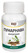 Пунарнава - тоник для почек и мочеполовой системы 3123