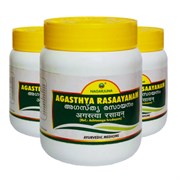 Agasthya rasaayanam (Агастья Расаяна) - для здоровья дыхательных путей, 100 гр 4399