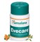 Evecare (Ивикеа, Ивекер) - для здоровья женщины - фото 11767