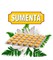 Sumenta (Сумента Чарак) - растительный антидепрессант, баланс ментальной сферы, спокойный сон 3210 - фото 13084