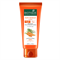 Солнцезащитный лосьон Spf 40+ с Морковью Biotique, 100 мл. 9569 - фото 13217
