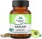Амалаки (Amalaki) Organic India - фрукт-расаяна, иммуномодулятор, богат легкоусвояемым природным витамином С 4115 - фото 14482