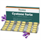 Cystone Forte (Цистон Форте) - аюрведическое средство для поддержания здоровья почек 10398 - фото 14510